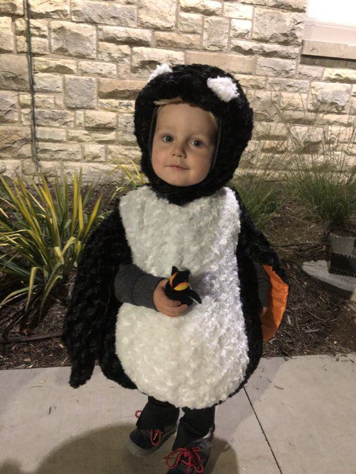 Penguin